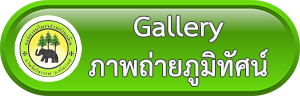 buttons gallery